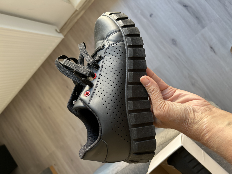 Katarzyna, Poznań Katarzyna, Poznań