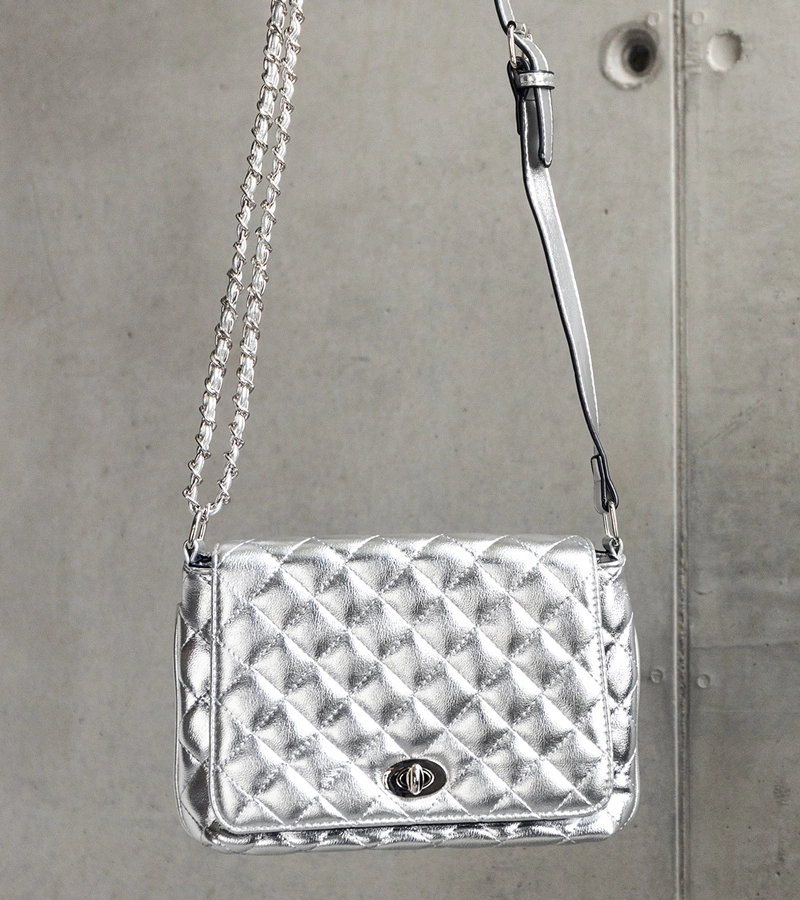 Srebrna pikowana listonoszka Quartilla